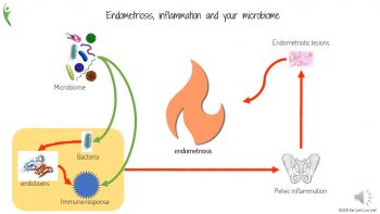 microbiome affects your endometriosis