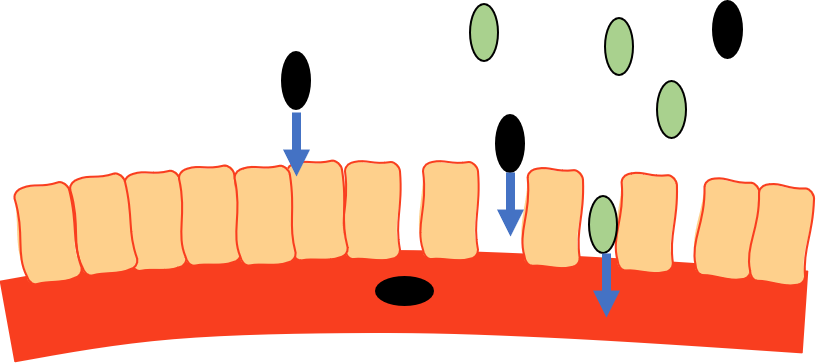 Leaky gut