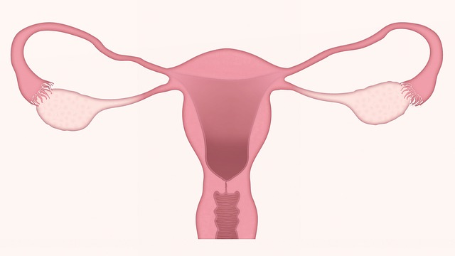 what is endometriosis